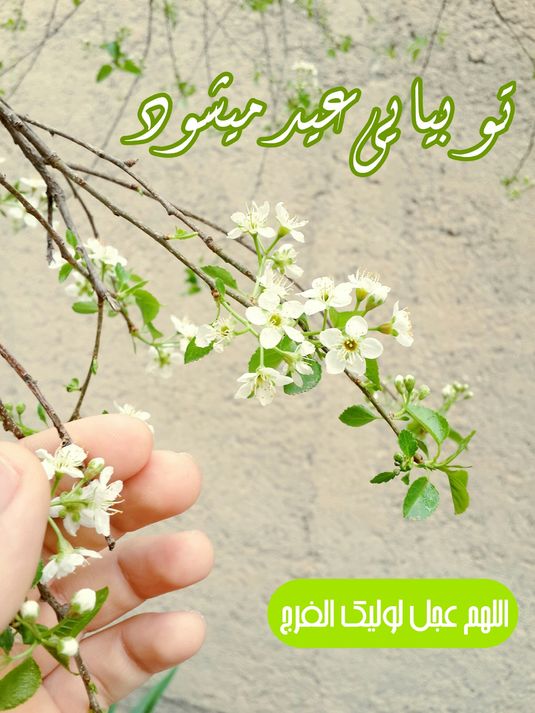 image result for بهار روزگاران و می دوران